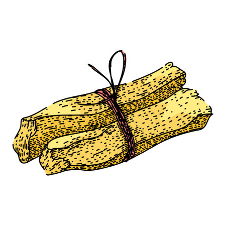 incense palo santo sketch hand drawn vectorのイラスト素材