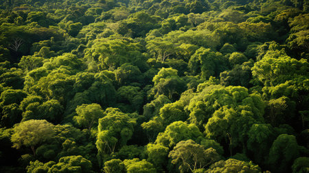 lush green earthの素材