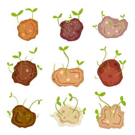 grass seed bomb set cartoon vector illustrationのイラスト素材