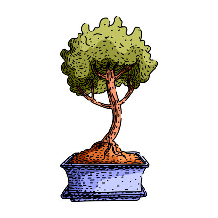 fertilizer bonzai tree sketch hand drawn vectorのイラスト素材