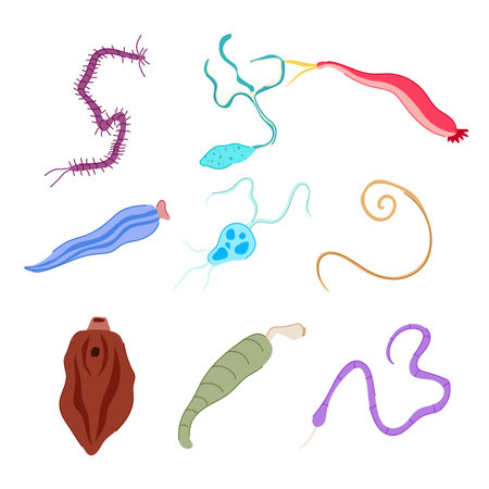 parasite set cartoon vector illustrationのイラスト素材