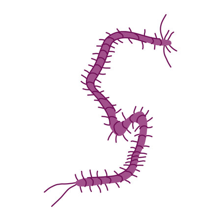 organism parasite cartoon vector illustration