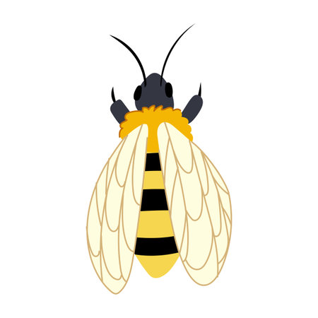 colony bee cartoon vector illustrationのイラスト素材