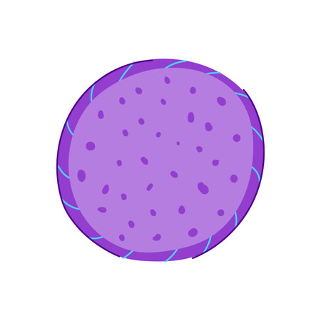 vintage fabric patches cartoon vector illustrationのイラスト素材