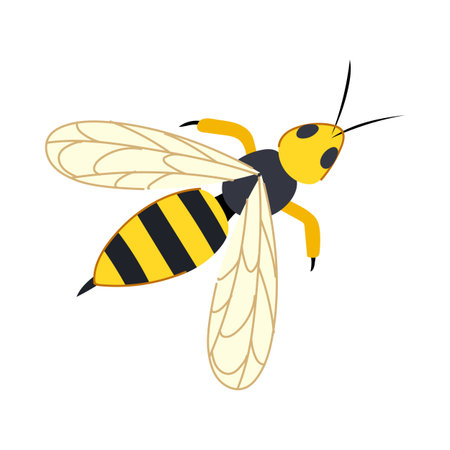 soar wasp cartoon vector illustrationのイラスト素材