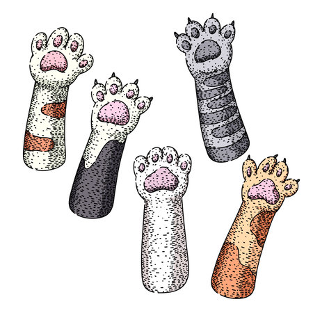 cat paw set sketch hand drawn vectorのイラスト素材
