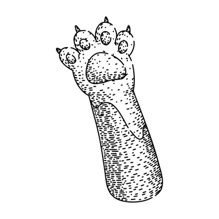feline cat paw sketch hand drawn vectorのイラスト素材