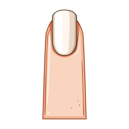 flare nail shape cartoon vector illustrationのイラスト素材