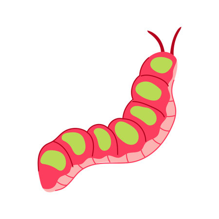 Green and pink cartoon caterpillar, depicting an insect larva with segmented body and small antennae, isolated on a white background, representing growth and natureのイラスト素材