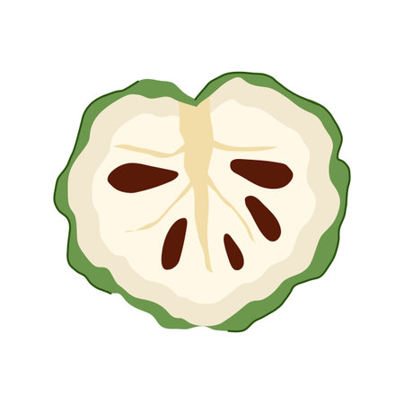 Custard apple cross section illustration revealing creamy white pulp and dark brown seeds,...