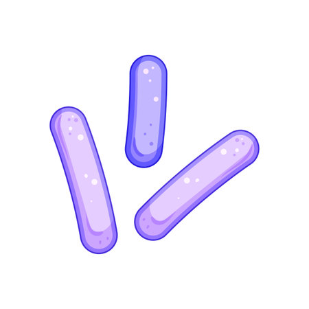 Rod shaped lactobacilli bacteria representing a healthy microbiome and the scientific concept of...