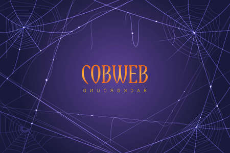 halloween purple spiderweb background vector design illustrationのイラスト素材