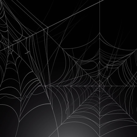 realistic cobweb with gradient vector design illustrationの写真素材