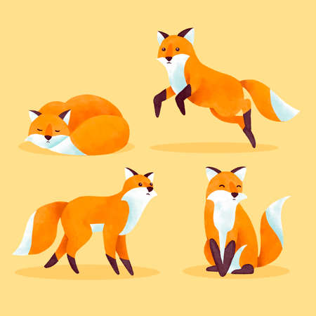 collection watercolor autumn fox vector design illustrationのイラスト素材
