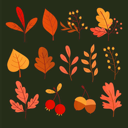 hand drawn autumn leaves collection vector design illustrationのイラスト素材