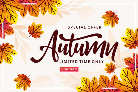flat autumn sale background vector design illustrationのイラスト素材