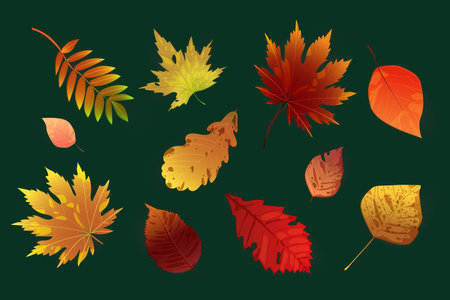 realistic style autumn leaves collection vector design illustrationのイラスト素材