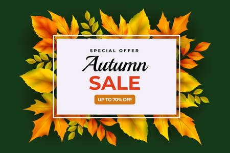 realistic autumn sale background vector design illustrationのイラスト素材