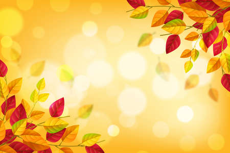 realistic autumn background with leaves vector design illustrationのイラスト素材