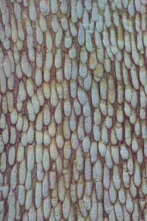 texture of pottery with different colour