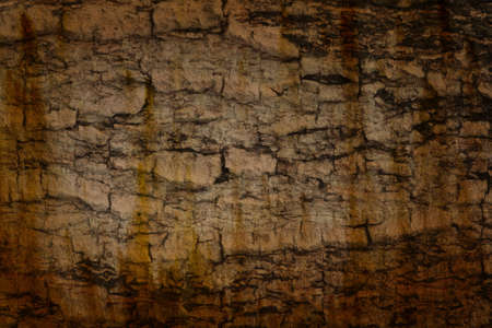 grunge texture with different colour