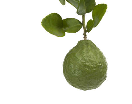 Bergamot on white background