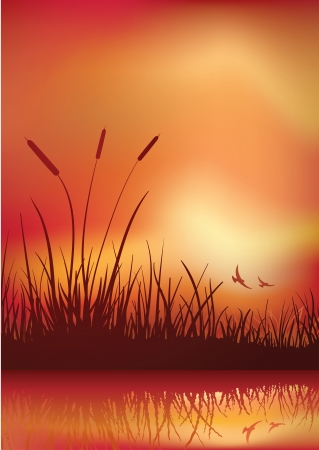 sunset in marshland. Vector illustration. Elements are layered separately in vector file. CMYK color mode.のイラスト素材