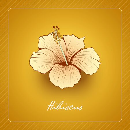 modern card design with hand drawn hibiscus flower on yellow background.のイラスト素材