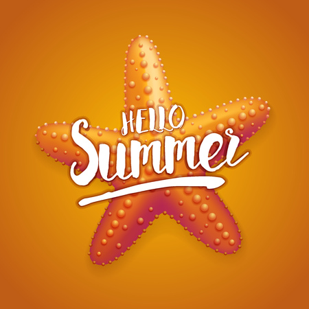 Hello Summer message on detailed vector illustration of starfish.のイラスト素材