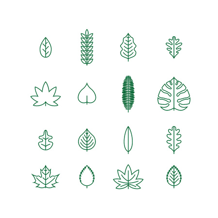 various line leaf icon collectionのイラスト素材