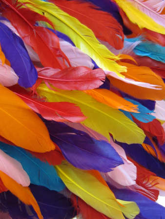 Colorful feathersの素材