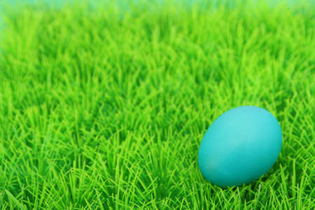Easter egg on grassの写真素材