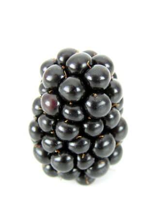 Blackberryの写真素材