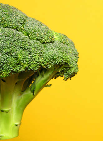broccoliの写真素材