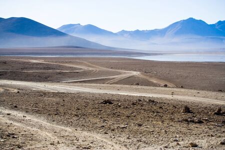 In the Altiplano, South Boliviaの写真素材