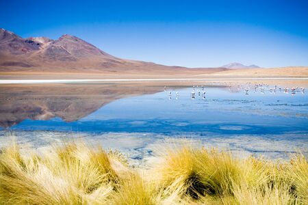 Laguna Blanca, Boliviaの写真素材