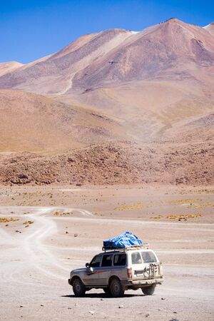 In the Altiplano, South Boliviaの写真素材