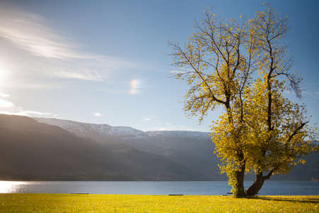 Rural Norwayの写真素材