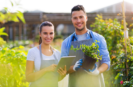 Smiling employees in garden centerの写真素材
