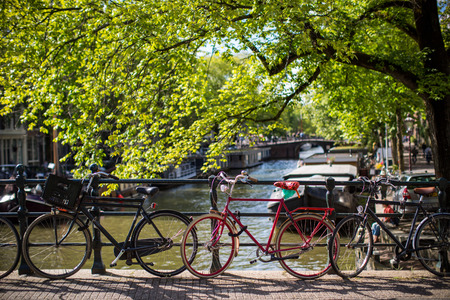 Bicycles in Dutch streets