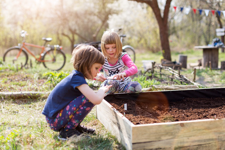 Two little girls gardening in a urban community gardenの写真素材