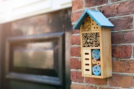 Insect hotel at the brick wall, Hollandの写真素材