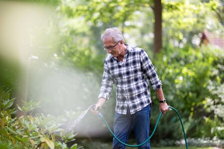 Retired man watering plants in the gardenの写真素材