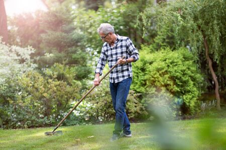 Senior man raking autumn leaves in backyardの写真素材