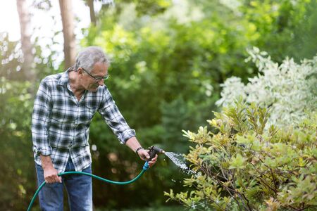 Retired man watering plants in the gardenの写真素材