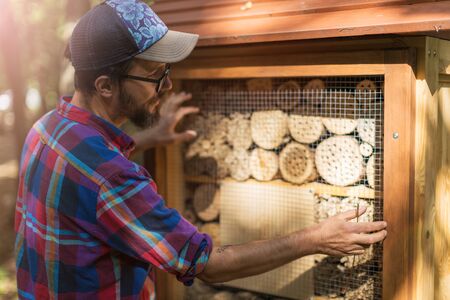 Man repairing insect hotel in the forest