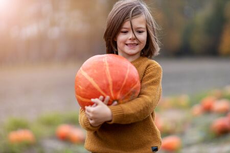 Cute little boy having fun in a pumpkin patchの写真素材