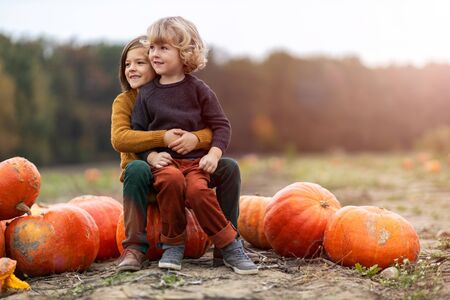 Two little boys having fun in a pumpkin patchの写真素材