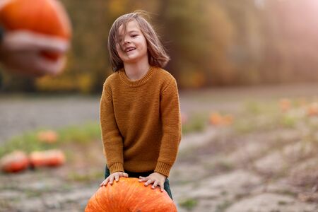Cute little boy having fun in a pumpkin patchの写真素材
