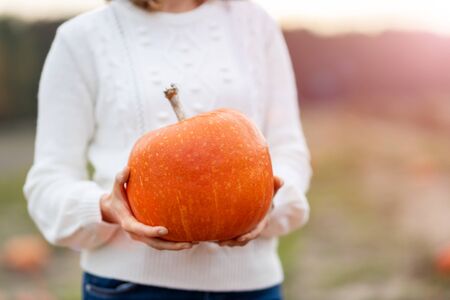 Woman holding pumpkin in pumpkin patch fieldの写真素材